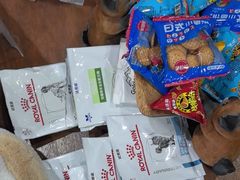 -宠爱国际动物医院·消化内科·心肾内科·ISFM猫友好(望京店)