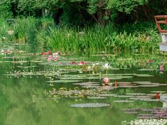 -国家植物园南园