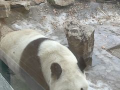-沈阳森林动物园