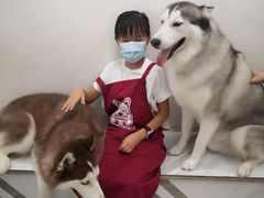 -星多哈·狗咖·拼豆·咖啡