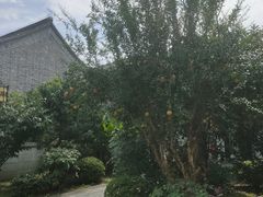 -梦溪园(中营街)