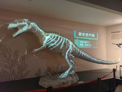 -自贡恐龙博物馆