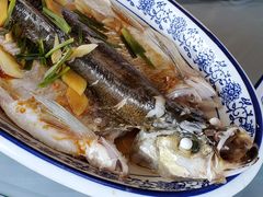 清蒸白水鱼-洞天食府(北大街店)