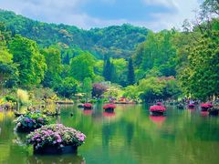-深圳仙湖植物园