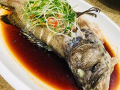 -外滩1288花园丽舍