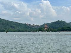 -顺峰山公园