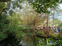 -海南热带野生动植物园