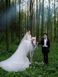 -芭莎视觉婚纱摄影(花溪店)