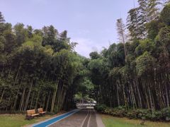 -苏州河梦清园环保主题公园