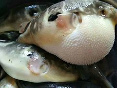 -小广寒电影艺术餐厅(小广寒经三路店)