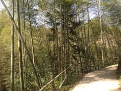 -千泷沟大瀑布旅游区