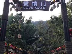 -呀诺达热带雨林