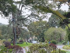 -浙江西子宾馆·瑶园咖啡厅