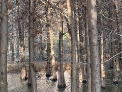 -捞渔河湿地公园