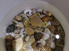 -一夜埕海产品特色街