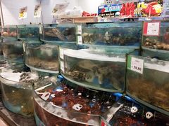 -AEON永旺(东方宝泰店)