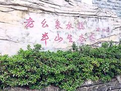 -老幺泉水鸡
