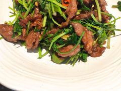 小炒黄牛肉-金香匯晚茶(浑南店)