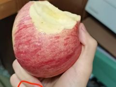 -深圳海边小筑客栈