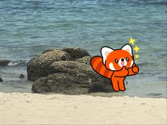 -玫瑰海岸文化旅游度假区