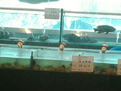 海鲜区-大东方海鲜酒楼(小武基桥店)