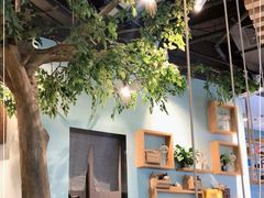 -仙踪林(江燕路万科里店)