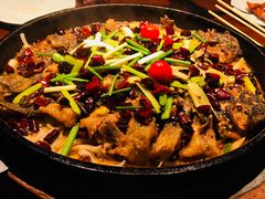 -老板恋上鱼(高新万达店)