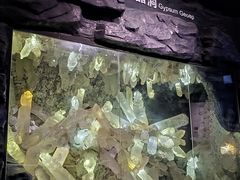 -湖南省地质博物馆