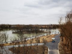 -盐城丹顶鹤湿地生态旅游区