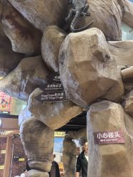 -卡通尼·Safari非洲探索乐园·生日会(金桥国际商业广场店)