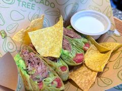 -油梨树AVOCADO TREE(望京店)