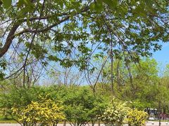 -野鸭湖国家湿地公园