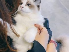 -零纪元VR体验馆·桌游(黄浦店)