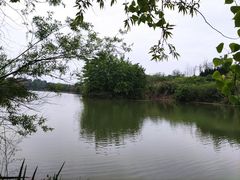 -白鹭湾湿地公园