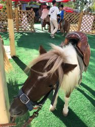 -萌宠亲子动物乐园(槐房万达店)