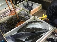 -树木岭集贸市场(劳动东路)