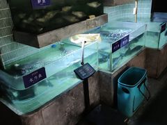 -鱼你相聚·河鲜馆(袁家岭店)