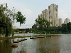 android_upload_pic-前关湿地公园