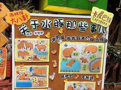-正佳雨林生态植物园