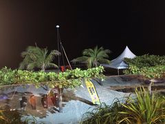 -渔家火锅·海鲜自助餐·演艺(亚龙湾天域酒店)