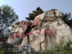 -北京西山国家森林公园