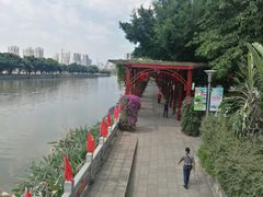 -光明港公园