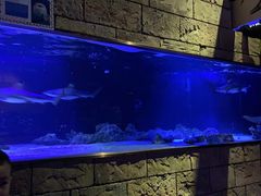 -zoonana室内动物园(东方福来德店)