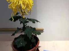-汇龙潭