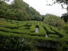 -大屏嶂森林公园
