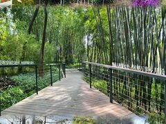 -云溪植物园