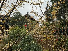 -莫催咖啡