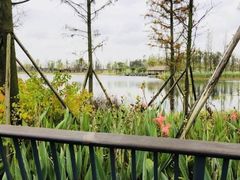 -白鹭湾湿地公园