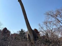 -自然谷恐龙园
