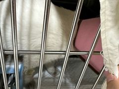 -谐和贝康宠物医院24小时·宠保定点(急重症转诊中心)